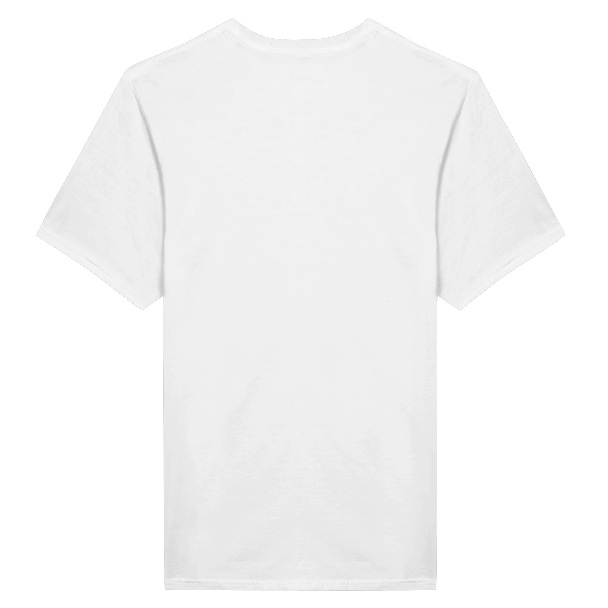 Klassisk unisex t-skjorte med rund hals 2